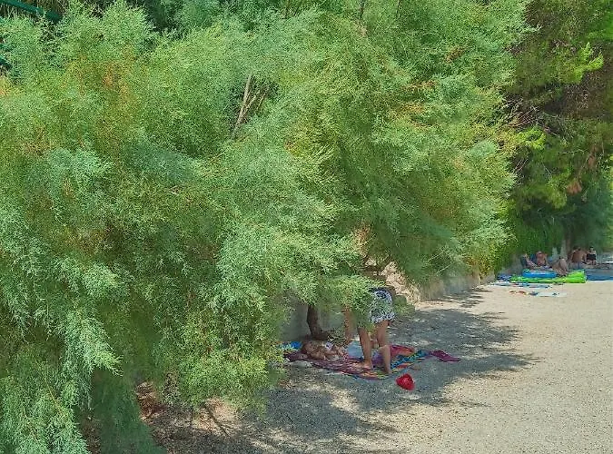 Ana-zora Lejlighed *