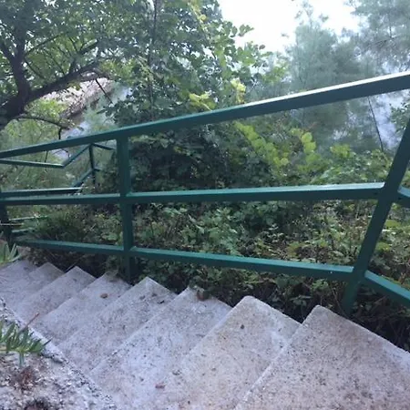 Apartman Ana-zora