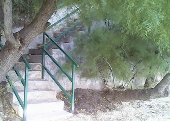 Ana-zora * Поседарье